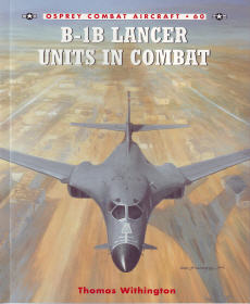 B-1B Lancer Units in Combat 
