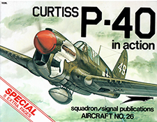 Curtiss P-40 In Action